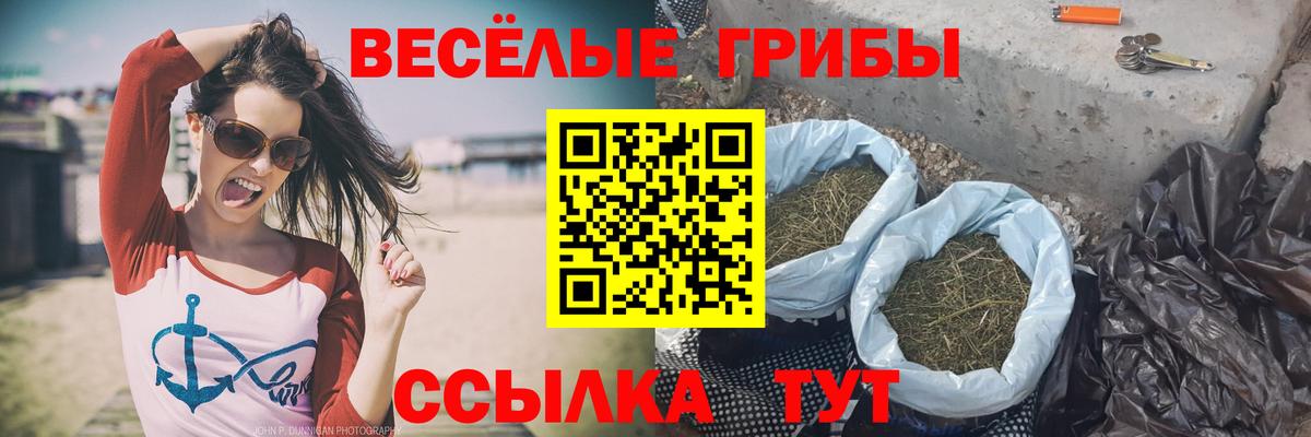Галлюциногенные грибы ЛСД  Вход с VPN  Горячий Ключ 